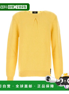 FENDI 男士针织衫 FZE016ASGSF03N1 AW2024 黄色 Fendi Mohair Sw