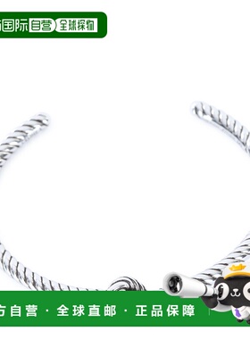 CELINE 男士手链手镯 461OQ6BRA36SI AW2025 银色