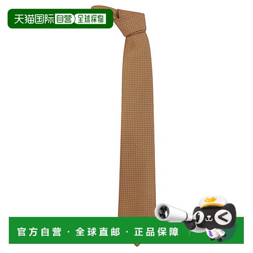 BRIONI 男士领带 O61D00PD40F7548 SS2026 橙色