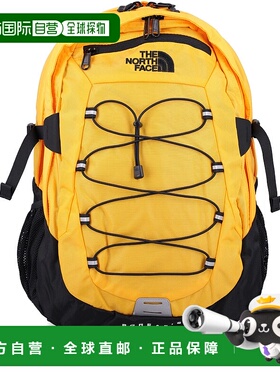 THE NORTH FACE 男士双肩包 NF00CF9C4WP1 CO 棕色 