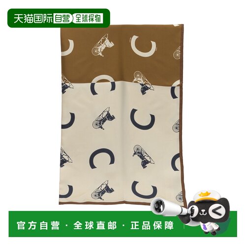 CELINE 女士围巾 2AW902R4301HM SS2026 花色 方形丝巾