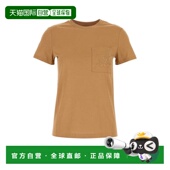 AW2025 1h可退 棕色 女士T恤 2521946041600003 MAX MARA
