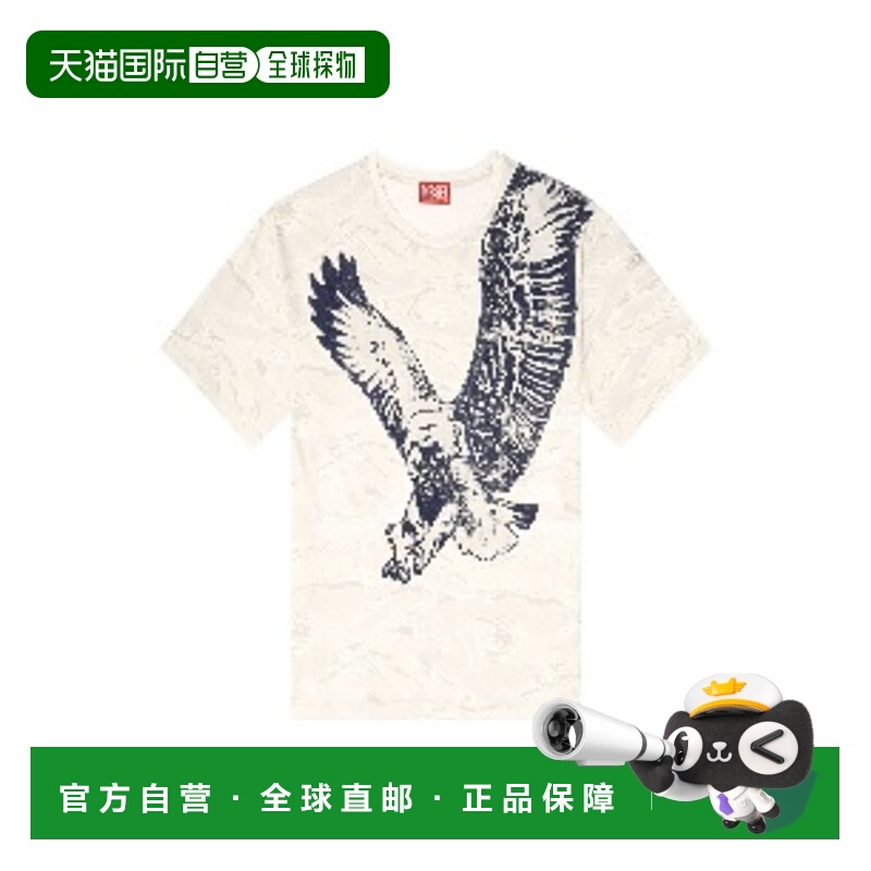 1h可退 潮奢 Diesel 迪赛 男士 T-Boxt-T14 T卹 A193170DLBM