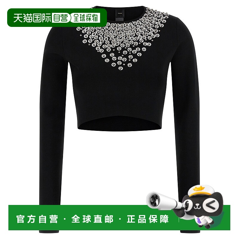 1h可退 PINKO 女士针织衫 105734A2UTZI1 AW2025 黑色 'Big Jim'
