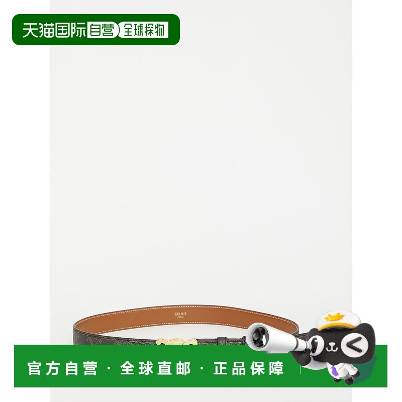 CELINE 女士腰带 45AK92ACO04LU CO 棕色皮带图片
