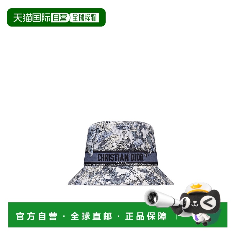 1h可退 DIOR 女士帽子 CPB6022XDBCC500 AW2024 灰色 D-Bobby Dio