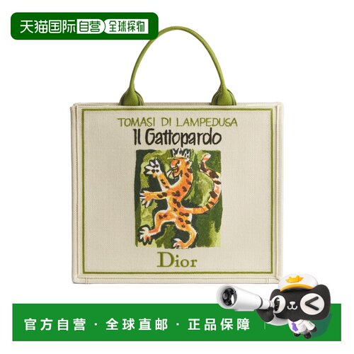 CHRISTIAN DIOR 男士手提包 1BTSH299JARH166 AW2026支付后1h可退