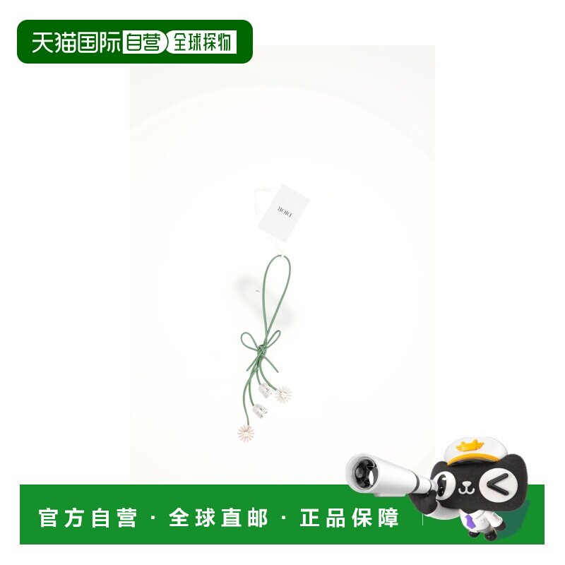 DIOR 迪奥 女士 包包配饰 V1993WOMCM metal金属色 舒适时尚