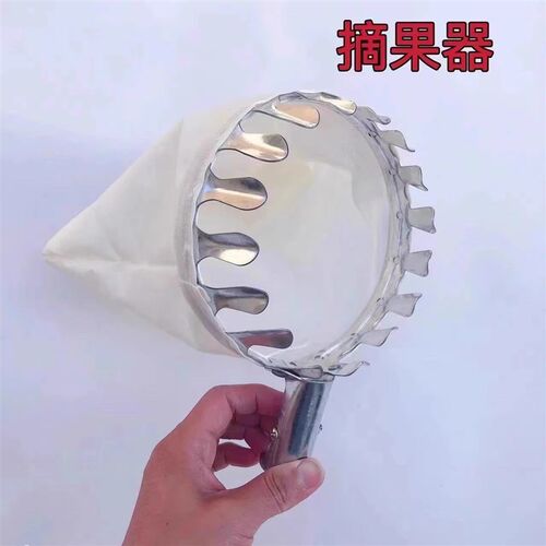 新款摘果器具伸缩杆摘水果采摘柿子杨梅桃果子高空摘果器枣杏824