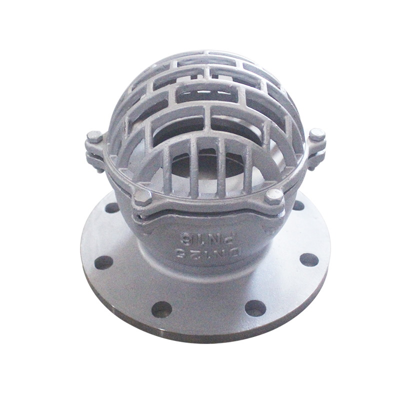 304不锈钢法兰底阀H42W-16P自吸水泵莲蓬头单向止回阀门耐温腐蚀