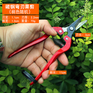 采果剪葡萄桔子蔬果剪枝剪修花剪园艺果树修果工具摘水果剪刀神器