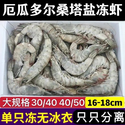 厄瓜多尔原装进口海捕桑塔盐冻虾
