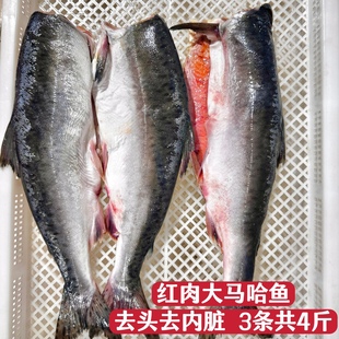 大马哈鱼新鲜冷冻无盐俄罗斯洄游非佳木斯抚远东北特产去头去内脏
