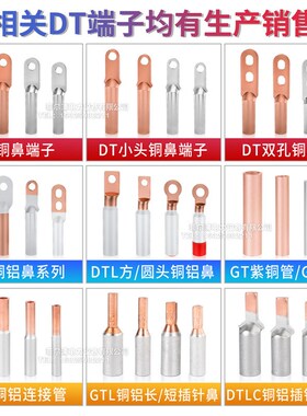 DTA/GTLA-10/16/20平方全铜过渡管电表C45插针式铜鼻镀锡接线端子