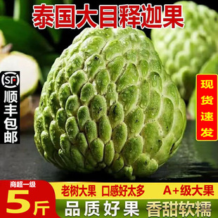 当季泰国新鲜大目释迦果当季整箱孕妇水果佛头果热带批发市场顺丰