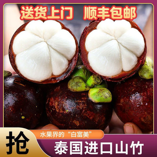 果赋珍山竹现货现发新鲜顺丰包邮