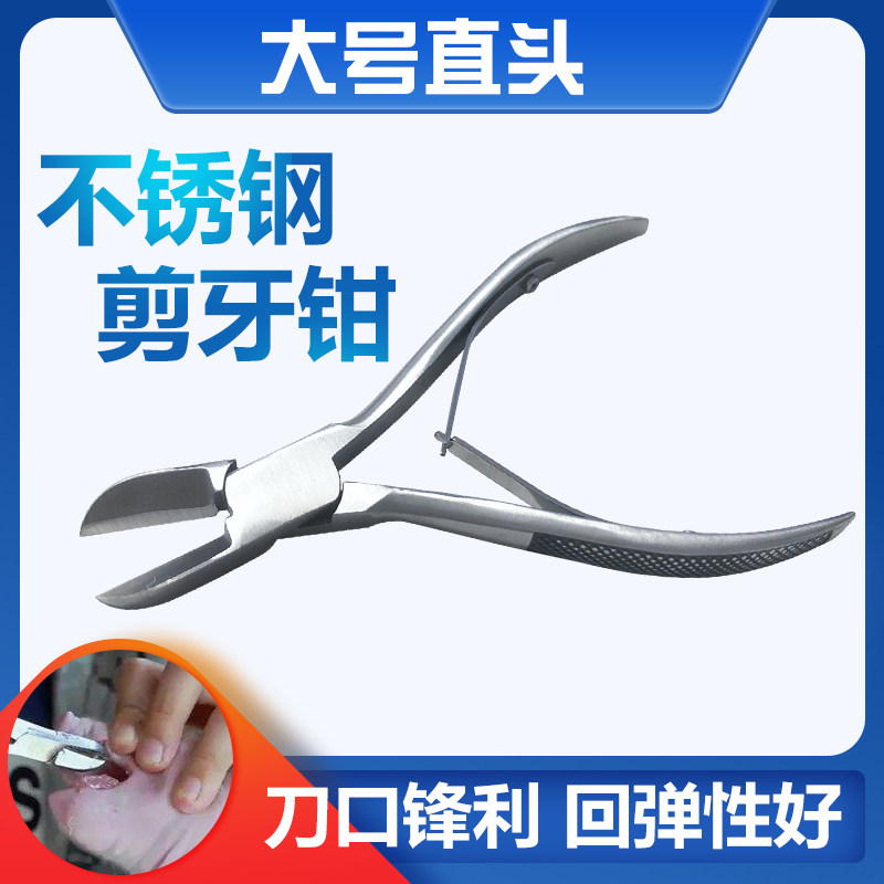 小猪不锈钢剪牙钳14公分猪用器械兔仔猪剪齿钳 断牙钳猪场