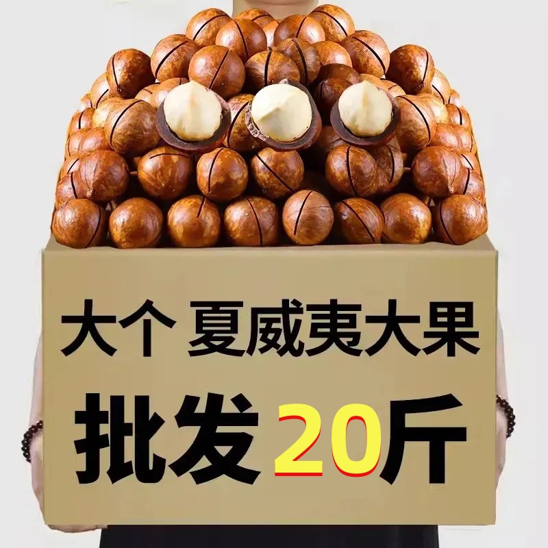 【5-20斤净重】新货大颗粒夏夏威夷果