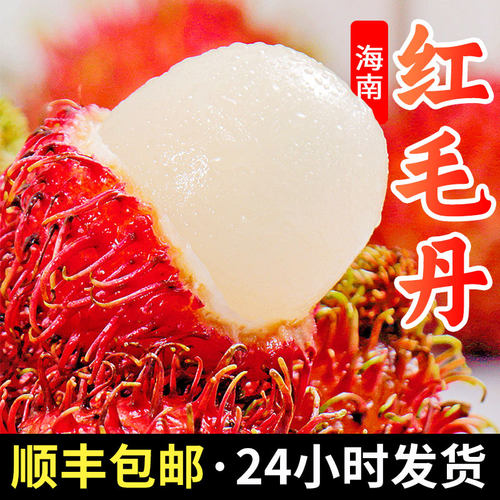 顺丰包邮海南保亭红毛丹树上熟