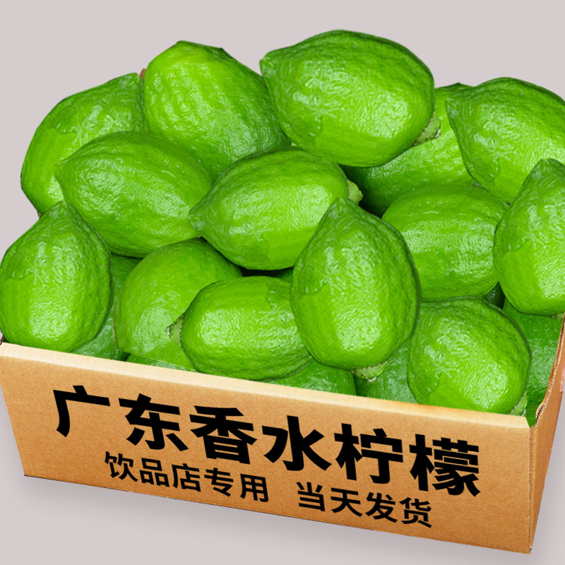 广东香水柠檬新鲜正宗青柠檬无籽大果一级果应当季水果9斤包邮