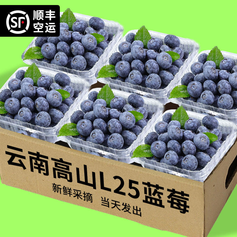 怡颗云蓝云南空运花香蓝莓现摘