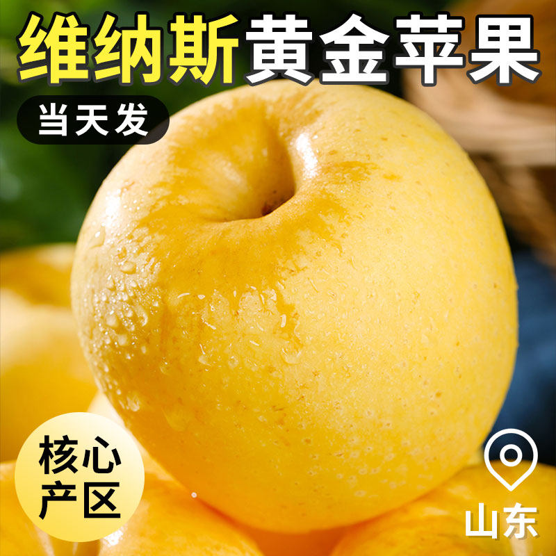 正宗维纳斯黄金苹果新鲜水果10孕妇当季现摘脆甜奶油甜丑苹果整箱,水产肉类/新鲜蔬果/熟食,苹果,淘宝优惠券,粉丝福利购,淘宝优惠卷