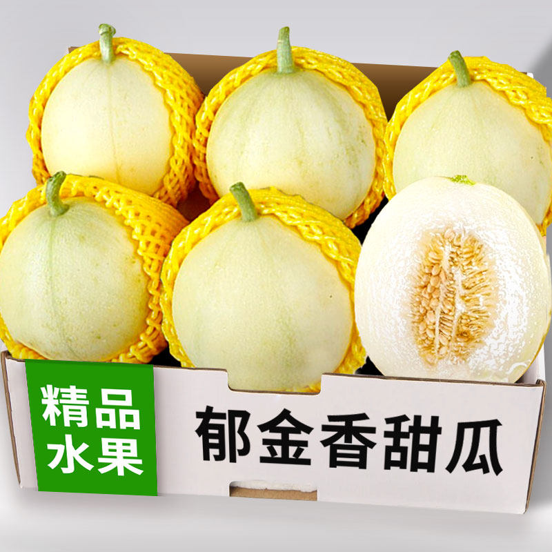 云南正宗郁金香甜瓜小香瓜5斤应季现摘现发当季整箱新鲜水果包邮,水产肉类/新鲜蔬果/熟食,甜瓜,淘宝优惠券,粉丝福利购,淘宝优惠卷