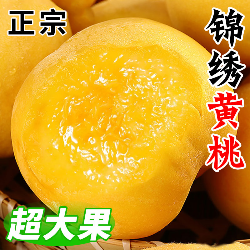 正宗锦绣黄桃新鲜水果当季脆甜黄肉毛桃露天黄金蜜桃大果包邮