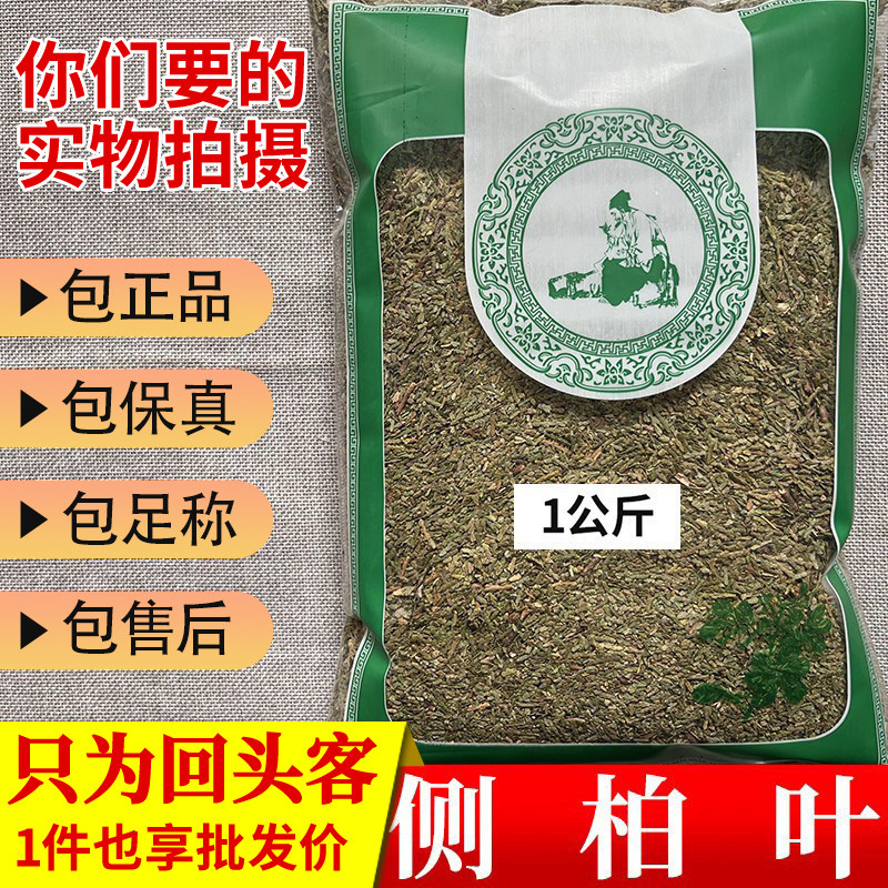 亳州中药材当季新货无硫侧柏叶柏树扁柏叶1000g正品新鲜干货