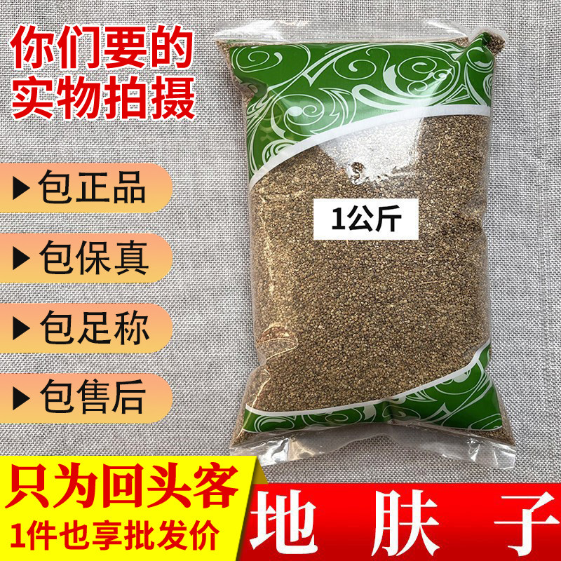 亳州中药材当季新货地肤子山西地夫子肤籽1000g正品新鲜干货