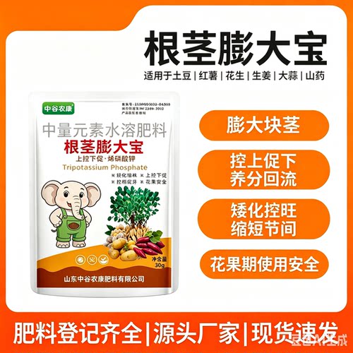 地下根茎膨大宝壮苗控秧叶面肥