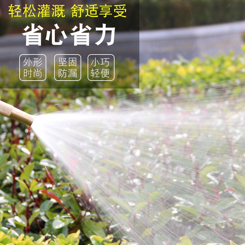 高压洗车水枪家用套装铜直喷枪浇洗车水枪