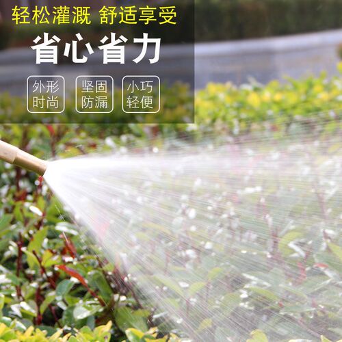 高压洗车水枪家用套装铜直喷枪浇花冲洗地工具汽车工具四季软管