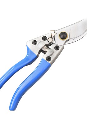 SK5钢锋利省力3CM修枝剪家用盆景园艺粗枝剪修花摘果园林剪刀