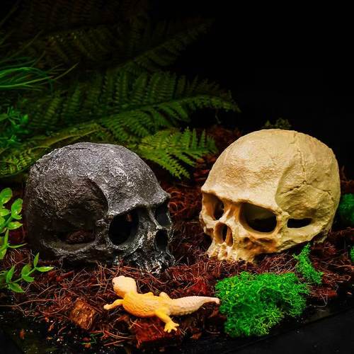 爬宠骷髅头骨蜘蛛躲避洞窝蜥蜴宠物蛇守宫爬虫箱水族造景装饰用品