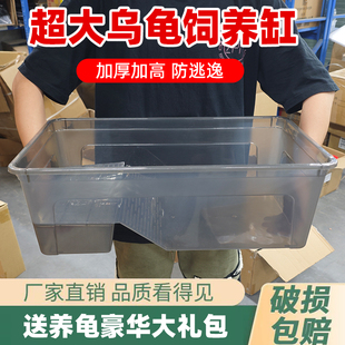 乌龟缸超大号晒台家用客厅养龟专用饲养箱巴西龟生态造景绿植龟缸