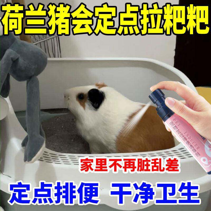 荷兰猪定点上厕所诱导剂防乱拉乱尿豚鼠定位排便神器小宠物诱便液
