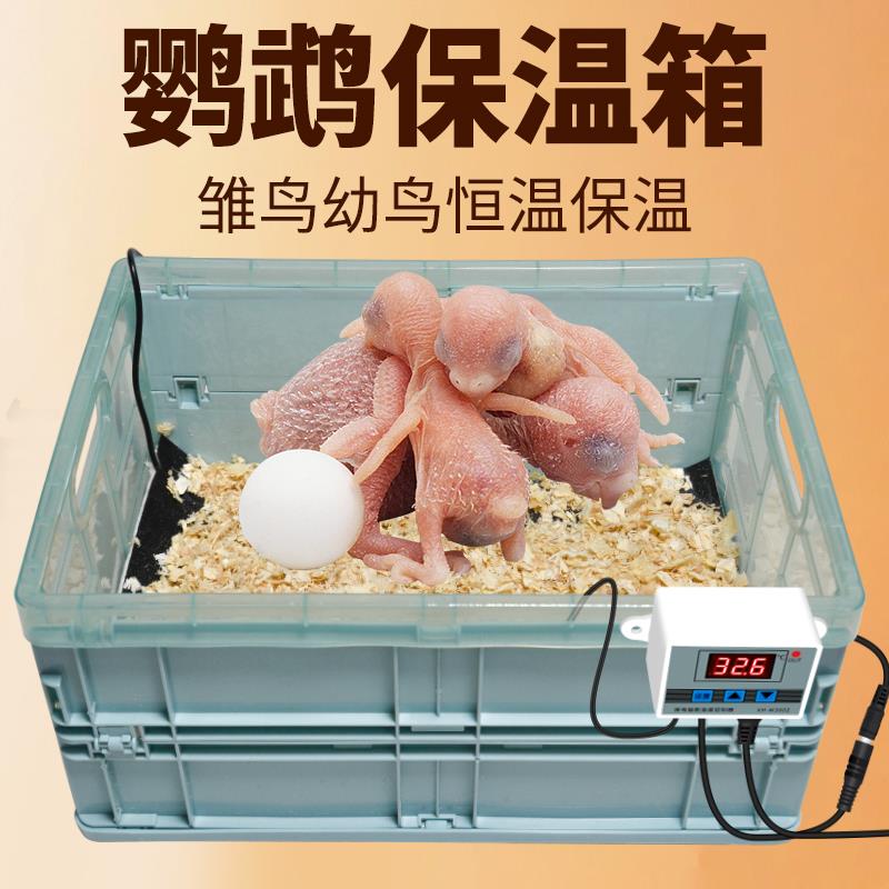 鹦鹉恒温加热垫保温箱雏鸟箱牡丹幼鸟小鸡手养孵化育雏专用饲养盒图片