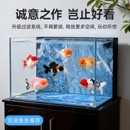 金晶新款超白桌面鱼缸生态造景过滤制氧All金鱼缸小型背滤岩板
