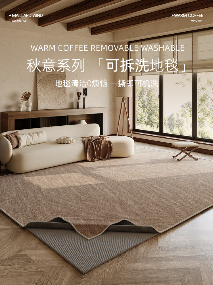 可拆卸和可洗的豪华地毯2025客厅新的机洗沙发咖啡桌毯子高端卧室