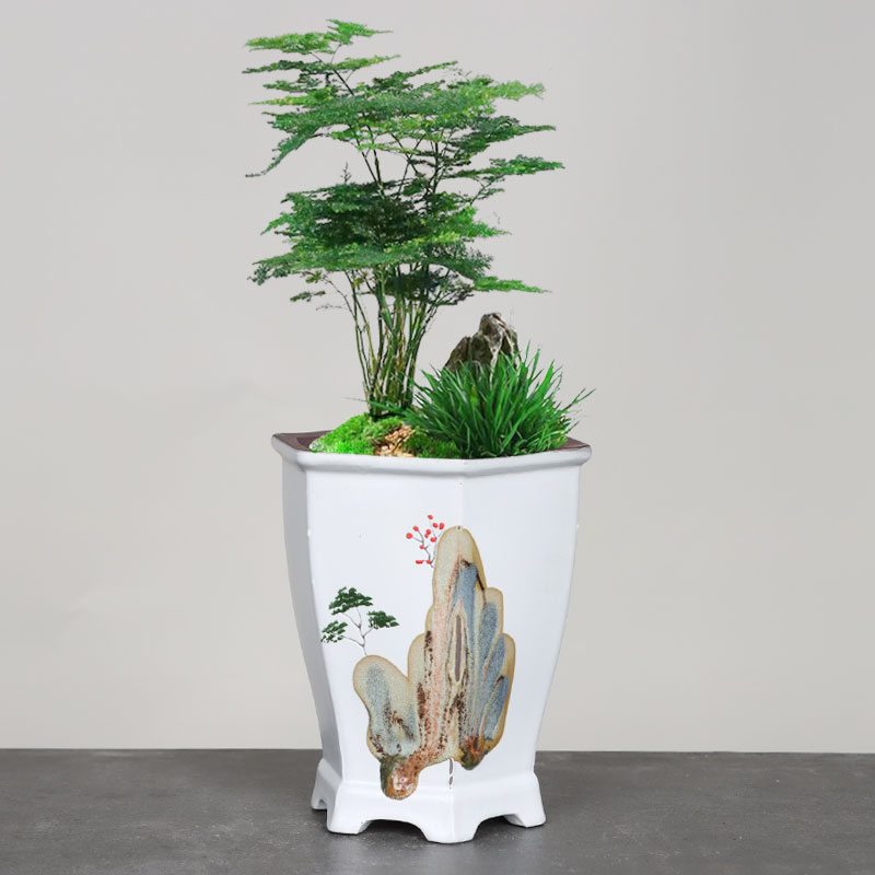 紫砂花盆清仓蝴蝶兰兰花专用吊兰家用陶土文竹盆栽