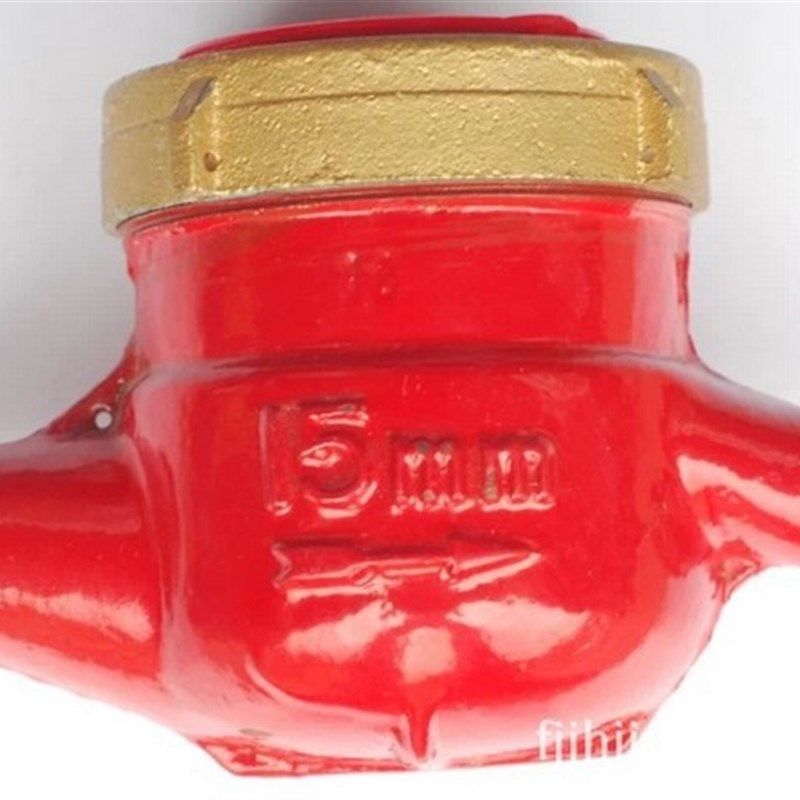 厦门鹭水灵水表 加厚接头露光水表 民用家用4分 6分数字水表