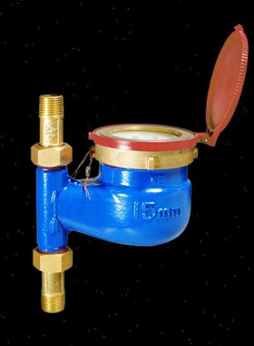 089461埃美柯旋翼立式热水表数字自来水热水表家用分分寸口径丝口