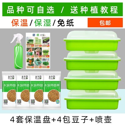 豆芽发芽a盆芽苗菜育苗托盘无土栽培水培蔬菜设备豌豆种植芽菜豆
