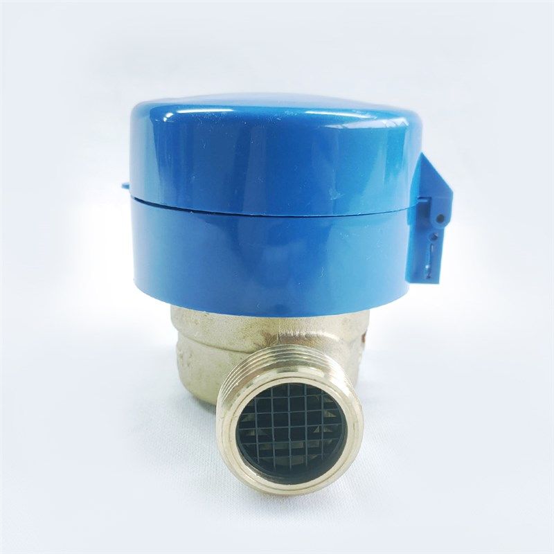 远传智能水表LoRaWAN物联网预付费水表家用DN20无线远程抄表