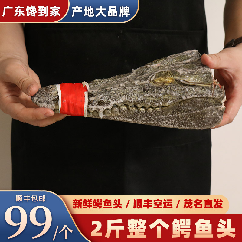 新鲜鳄鱼头 2斤整个鳄鱼生鲜活体现宰杀养殖鳄鱼肉官方旗舰店包邮