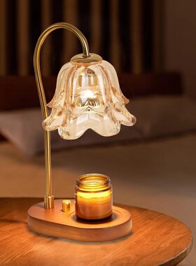 亚马逊铃兰香薰灯融蜡灯卧室床头灯法式复古家居摆件氛围灯无火香