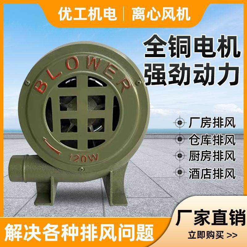 鼓风机家用小型离心风机强劲220V烧烤助燃吹风机工业助燃废机油炉,清洗/食品/商业设备,吹干机/电热风机,淘宝优惠券,粉丝福利购,淘宝优惠卷