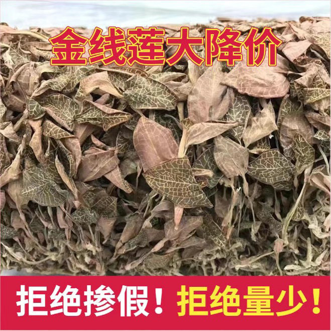 正宗金线莲 福建南靖林下种植金线莲整株干货 50克净重 无硫 袋装