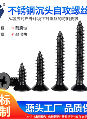 KA2x5→2x16黑色不锈钢沉头螺丝钉 GB846高盐雾达克罗螺丝钉 供应